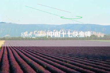 尉氏中国十七块金牌