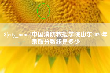 尉氏中国消防救援学院山东2020年录取分数线是多少