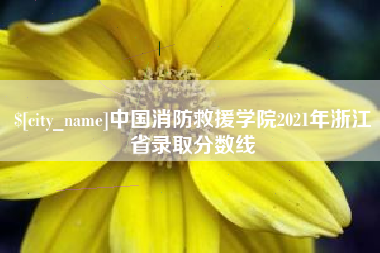 尉氏中国消防救援学院2021年浙江省录取分数线