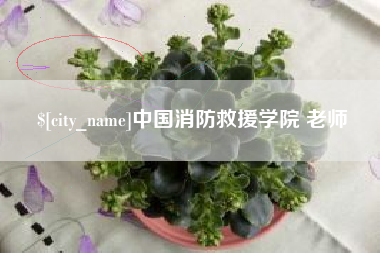 尉氏中国消防救援学院 老师