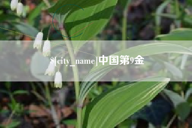 尉氏中国第9金