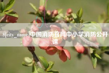尉氏中国消防官网中小学消防公开课