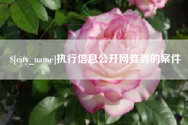 尉氏执行信息公开网查到的案件