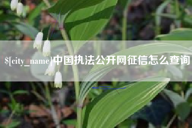 尉氏中国执法公开网征信怎么查询