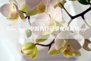 尉氏中国执行记录查询系统app