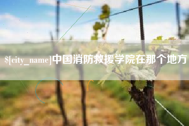 尉氏中国消防救援学院在那个地方