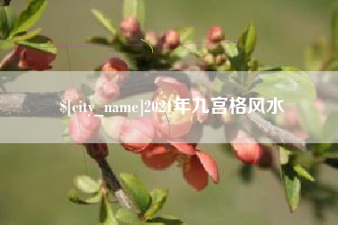 尉氏2021年九宫格风水