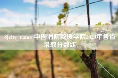 尉氏中国消防救援学院2020年各省录取分数线
