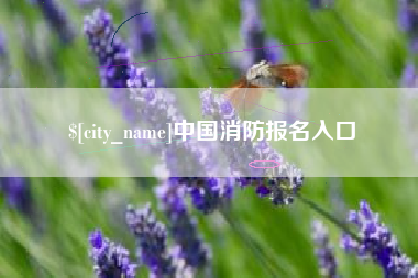 尉氏中国消防报名入口