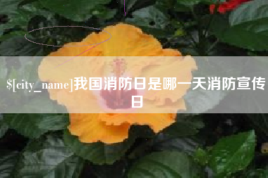 尉氏我国消防日是哪一天消防宣传日