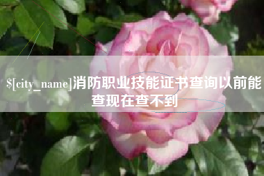 尉氏消防职业技能证书查询以前能查现在查不到