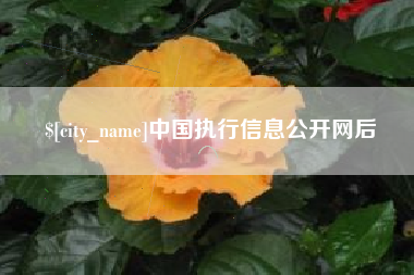 尉氏中国执行信息公开网后
