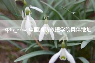 尉氏中国消防救援学院具体地址