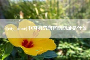 尉氏中国消防网官网网址是什么