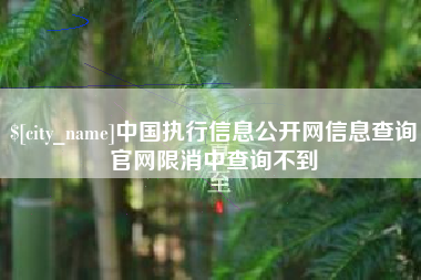 尉氏中国执行信息公开网信息查询官网限消中查询不到