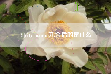 尉氏九金指的是什么