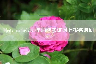 尉氏2020年消防考试网上报名时间