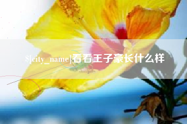 尉氏看看王子豪长什么样