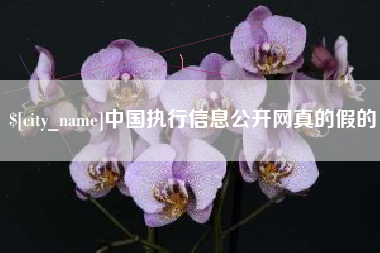 尉氏中国执行信息公开网真的假的