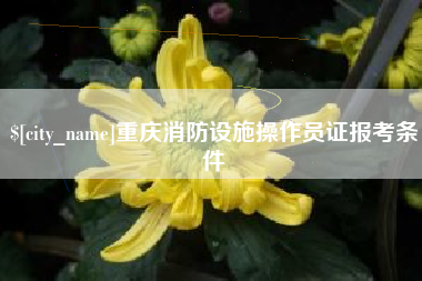 尉氏重庆消防设施操作员证报考条件