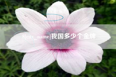 尉氏我国多少个金牌