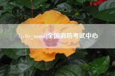 尉氏全国消防考试中心