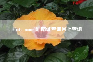 尉氏消防证查询网上查询