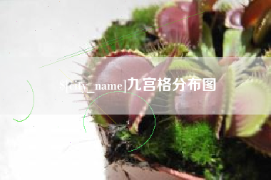 尉氏九宫格分布图