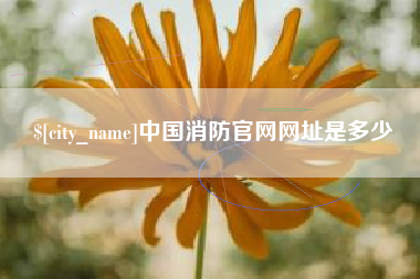 尉氏中国消防官网网址是多少