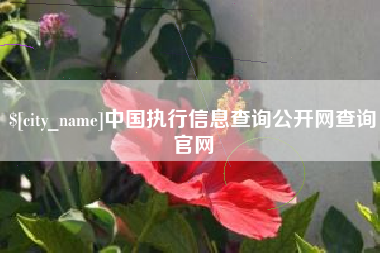 尉氏中国执行信息查询公开网查询官网