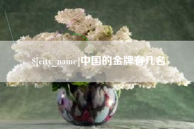 尉氏中国的金牌有几名
