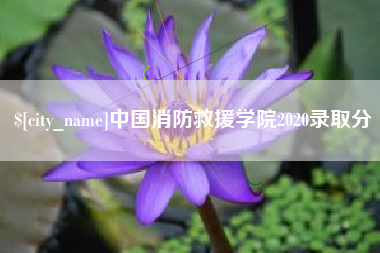 尉氏中国消防救援学院2020录取分