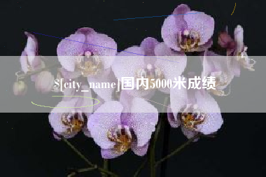 尉氏国内5000米成绩