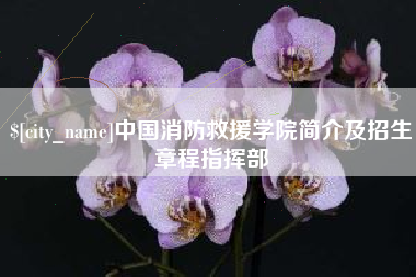 尉氏中国消防救援学院简介及招生章程指挥部