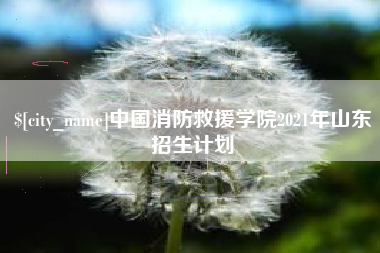 尉氏中国消防救援学院2021年山东招生计划