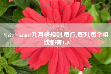 尉氏九宫格规则,每行,每列,每个粗线都有1-9