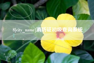 尉氏消防证初级查询系统