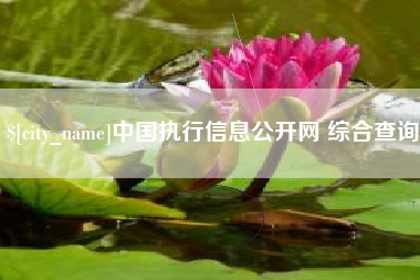 尉氏中国执行信息公开网 综合查询