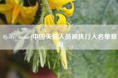 尉氏中国失信人员被执行人名单查询