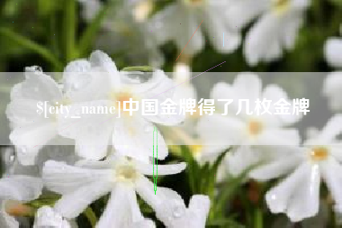 尉氏中国金牌得了几枚金牌