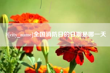尉氏全国消防日的日期是哪一天