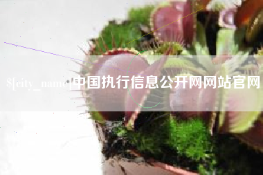 尉氏中国执行信息公开网网站官网