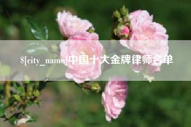 尉氏中国十大金牌律师名单