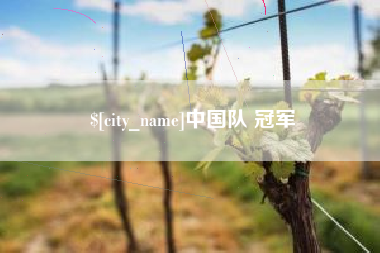 尉氏中国队 冠军