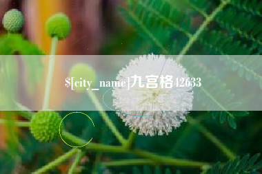 尉氏九宫格42633