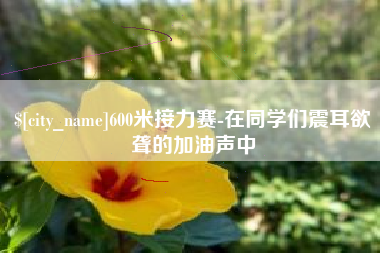 尉氏600米接力赛-在同学们震耳欲聋的加油声中