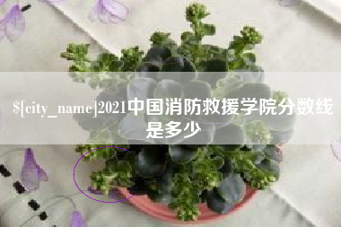 尉氏2021中国消防救援学院分数线是多少