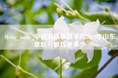尉氏中国消防救援学院2021年山东录取分数线是多少