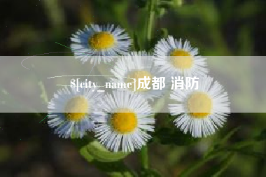 尉氏成都 消防