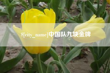 尉氏中国队九块金牌